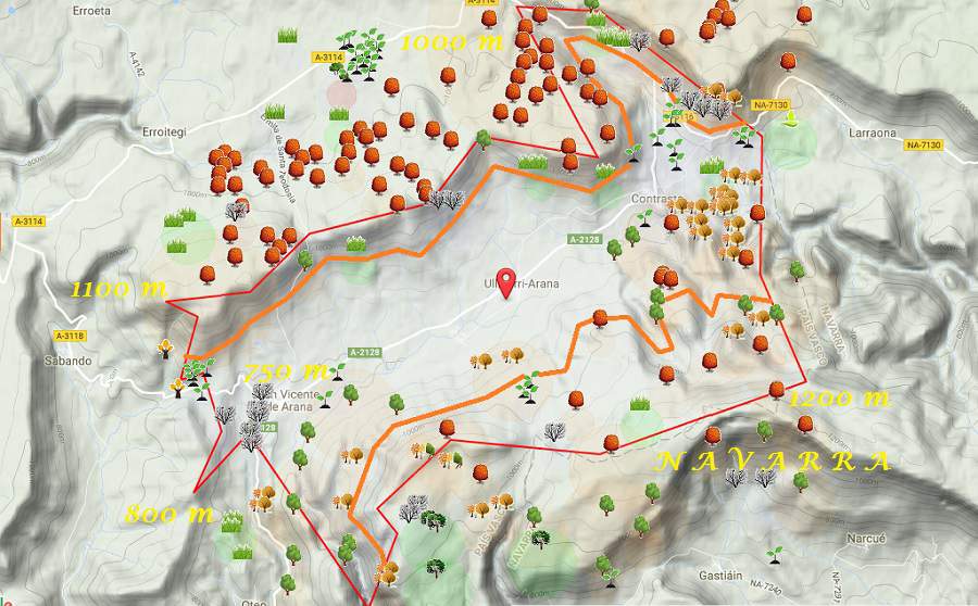 Mapa de Valle de Arana, Alava