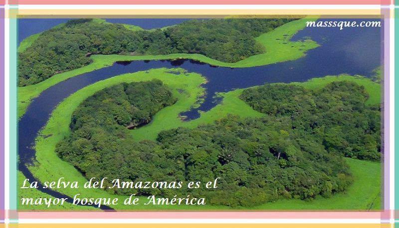 la selva del Amazonas es el mayor bosque de América